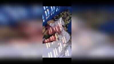 Rats found roaming inside quick commerce store in Ghansoli, video goes viral