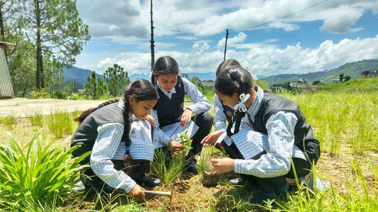59L saplings to be planted across U’khand on Harela
