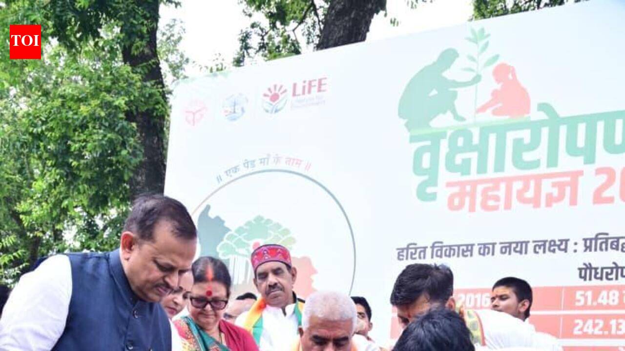 Kanpur turns over a greener leaf with 37.63 lakh saplings