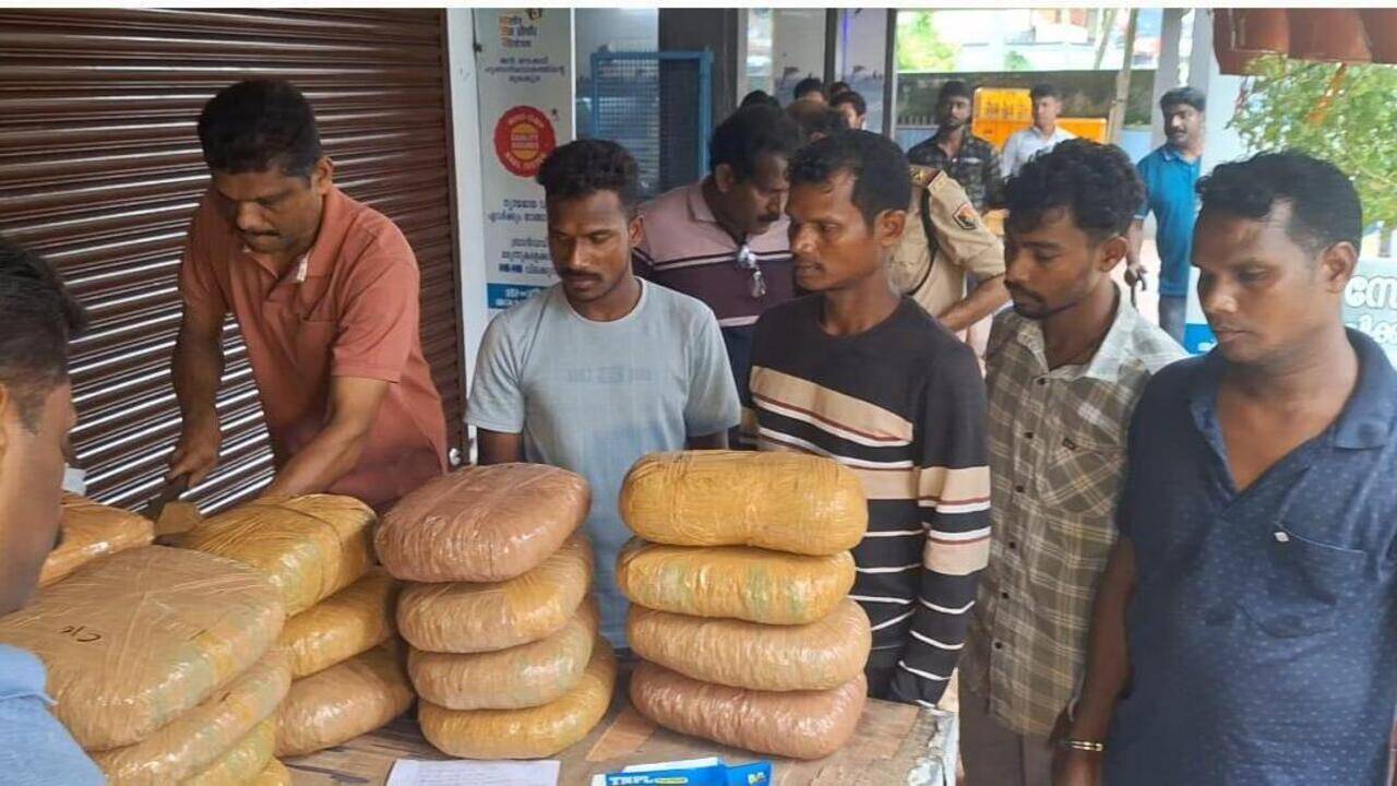 116kg ganja seized in major excise crackdown in Angamaly