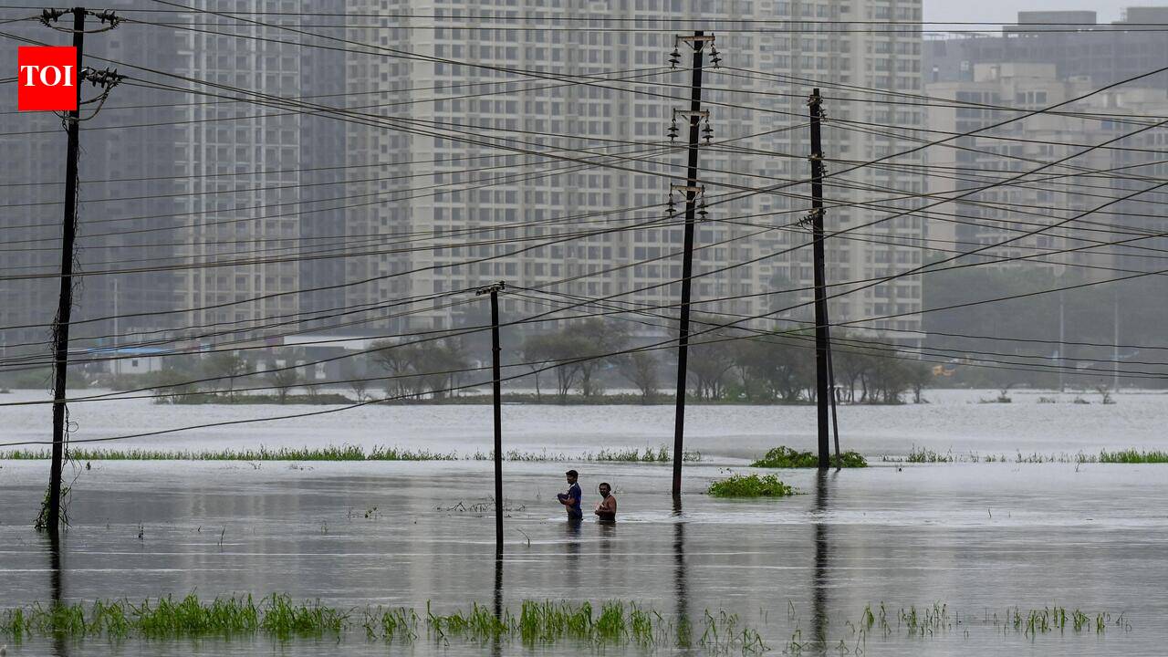 5 more bodies found, Vasai-Virar monsoon toll climbs to 10