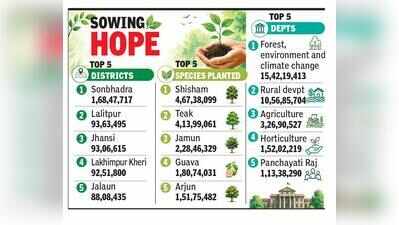 Sonbhadra tops districts as UP plants 35.3cr saplings