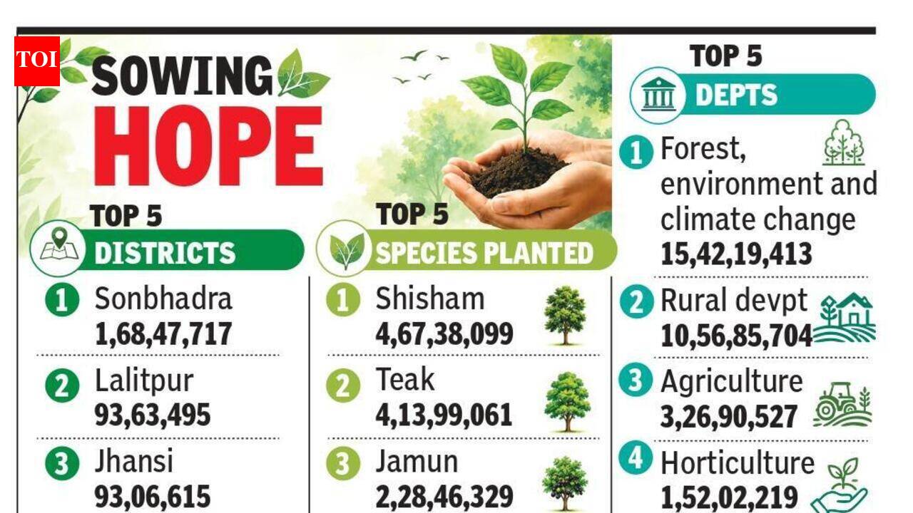 Sonbhadra tops districts as UP plants 35.3cr saplings