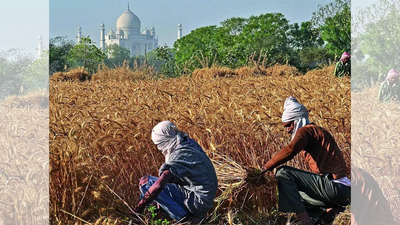 Statistics ministry flags serious gaps in agriculture data collection