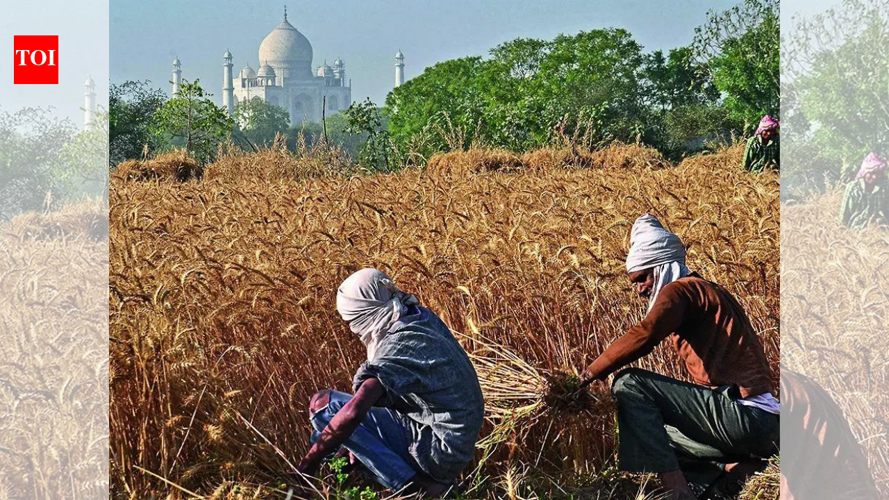 Statistics ministry flags serious gaps in agriculture data collection