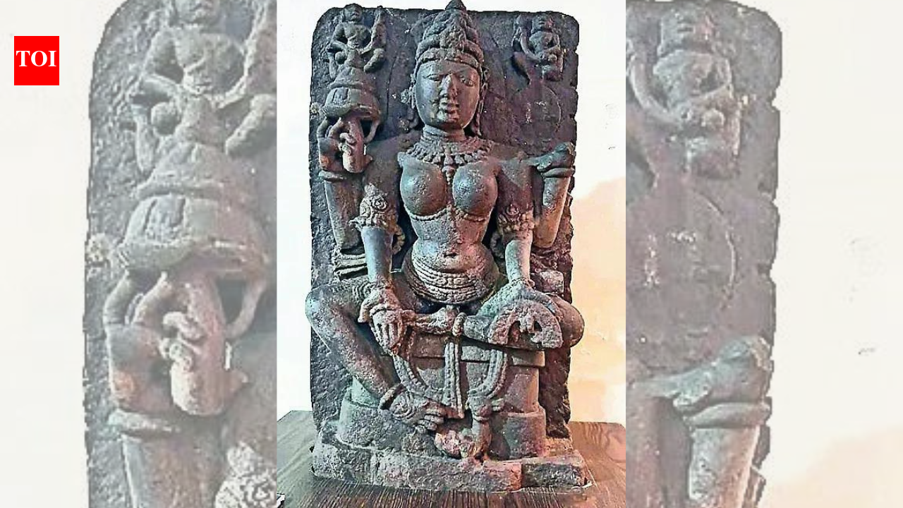 Dhar's Saraswati is Gayatri: Science ends 900-year mix-up