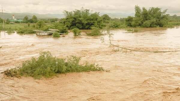 Heavy rain to lash multiple states this week as IMD flags flood threat and thunderstorms; what travellers need to know