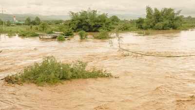 Heavy rain to lash multiple states this week as IMD flags flood threat and thunderstorms; what travellers need to know