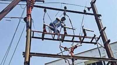 Birds, ‘kites,’ and now, squirrels play havoc with power supply in Trichy