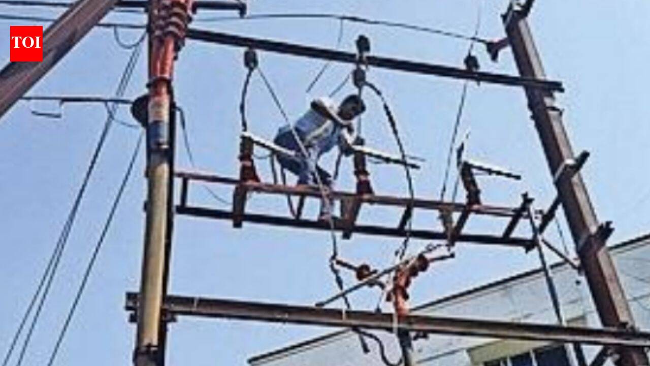 Birds, ‘kites,’ and now, squirrels play havoc with power supply in Trichy