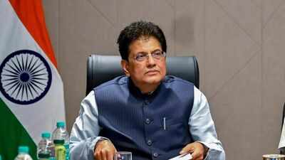 'Completely false and misleading': Piyush Goyal rebuts report of India holding up US trade pact