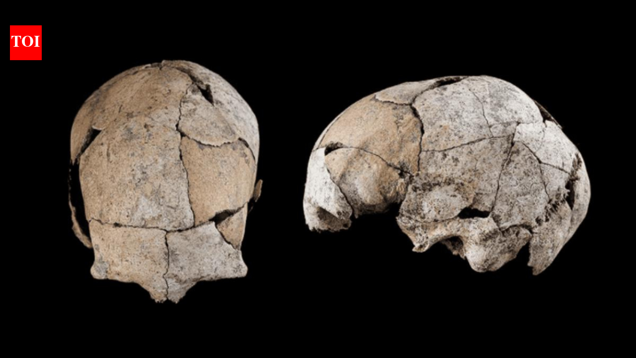 Buried for 5,300 years beneath a Stone Age tomb, a skull discovered in Spain has revealed the world's earliest known ear surgery