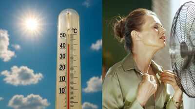 England and Wales heatwaves claimed 2,700 Lives in May and June