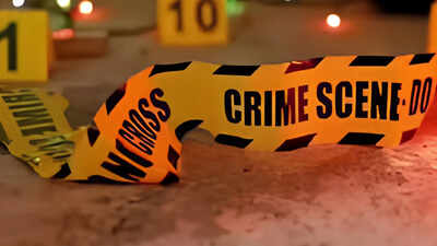 4 held after MP woman brutalised during robbery; police say around 10 men were involved