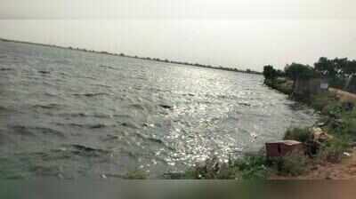 NGT order on Chandlai encroachments puts Raj govt in bind