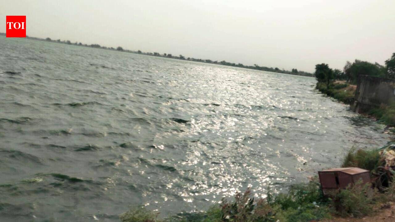 NGT order on Chandlai encroachments puts Raj govt in bind