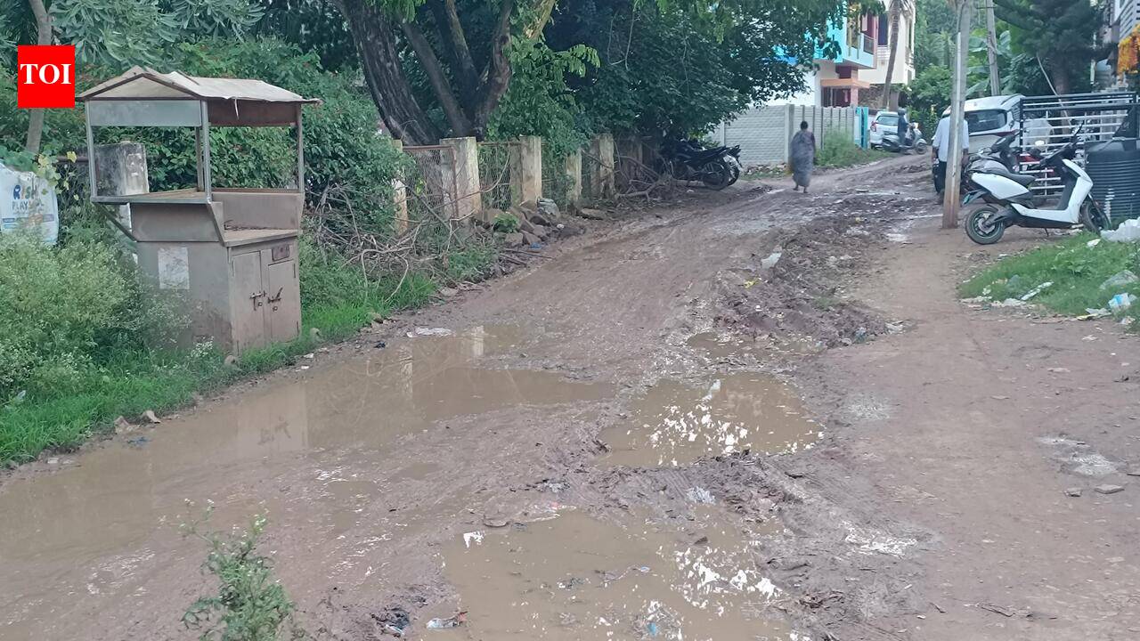 HDMC ward 58 residents struggle as neglect worsens roads, cleanliness issues