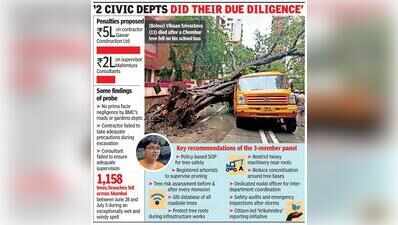 Chembur tree fall death: Panel gives clean chit to BMC depts, proposes Rs 7L fine on drain work contractor, consultant