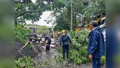 90% staff shortage in PMC’s garden department affects key workings to safeguard city’s green cover