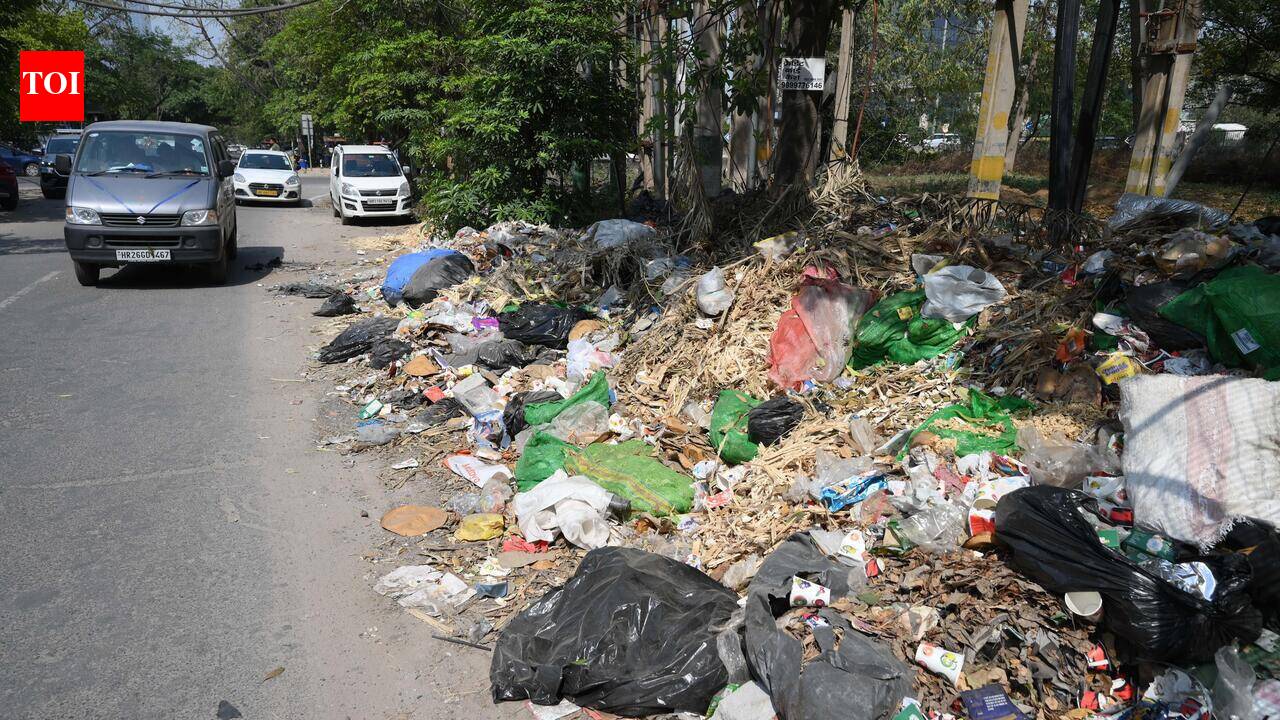 MCG study: 85% waste Gurgaon generates can be recycled