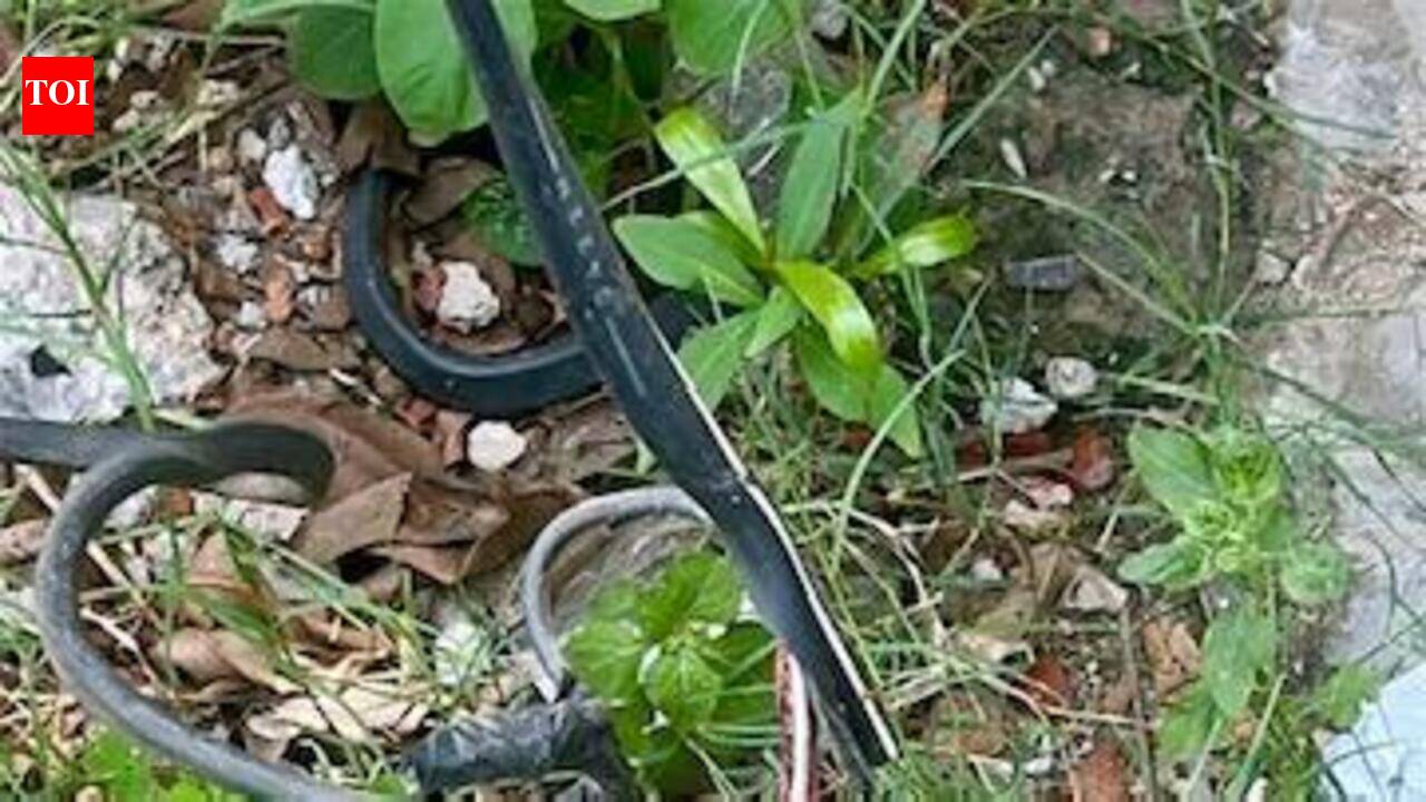 Moisture on cables and feeders sparks outages, residents in Noida and Ghaziabad sweat it out