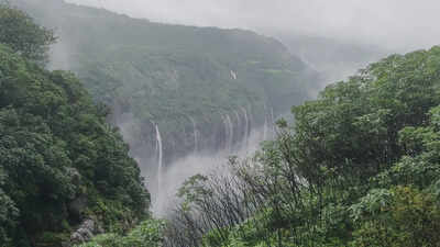 Andharban nature trail shut after landslides; entry permits cancelled till July 31