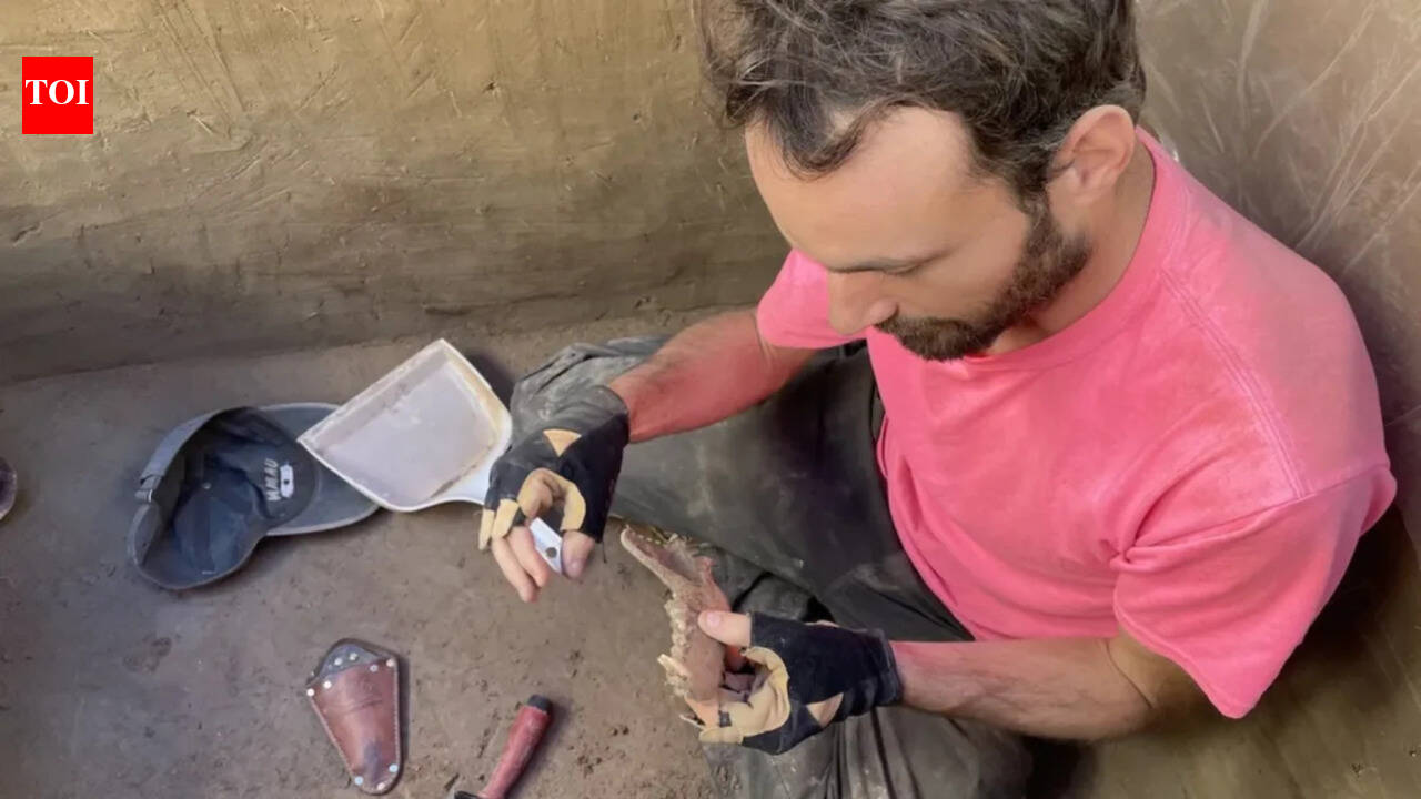Early humans fed salmon to canines 12,000 years ago, that is why dogs are friendly companions