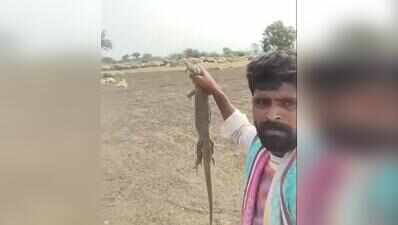 Karnataka forest sleuths scour social media, file 25 cases as wildlife poachers pose with hunts
