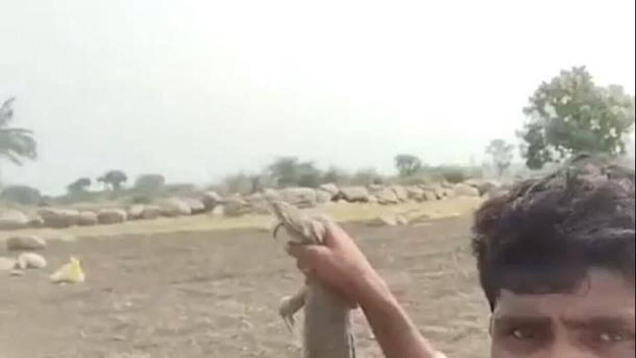 Karnataka forest sleuths scour social media, file 25 cases as wildlife poachers pose with hunts