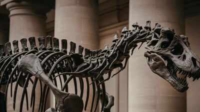 Thailand just dropped the most bizarre Dinosaur discovery of the decade
