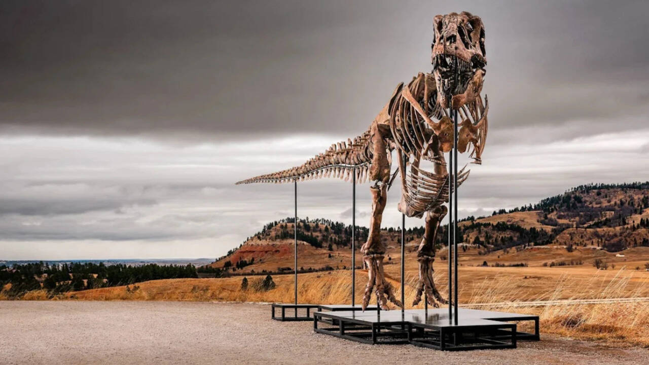 There’s a super-expensive T. rex in our midst — you won’t even guess its ‘price’ (and why scientists don't like it)