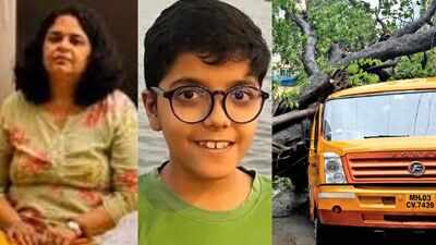 Tree fall death: Panel clears BMC departments, slaps Rs 7 lakh fine on contractor, consultant