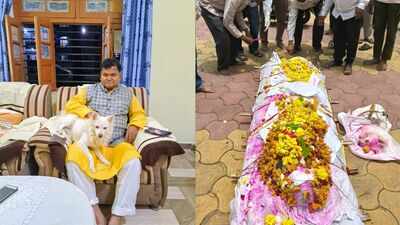 MP’s 2 biers, 1 farewell: A dog’s last walk with his master