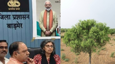 Rajasthan's Barmer launches climate-resilient agriculture drive with Khejri conservation, fodder security measures