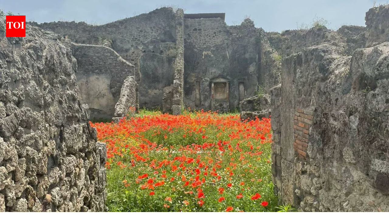 2,000 years after Pompeii vanished beneath volcanic ash in one of history's deadliest volcanic disasters, the ancient Roman street is blooming with flowers, offering a symbol of nature's renewal