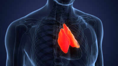 A forgotten immune organ in your chest may predict how long you live, with AI scans linking healthier thymuses to lower death, heart disease and cancer risks