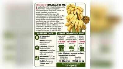 Nanjangud Banana’s Second Life: How Rasabale Is Making A Comeback
