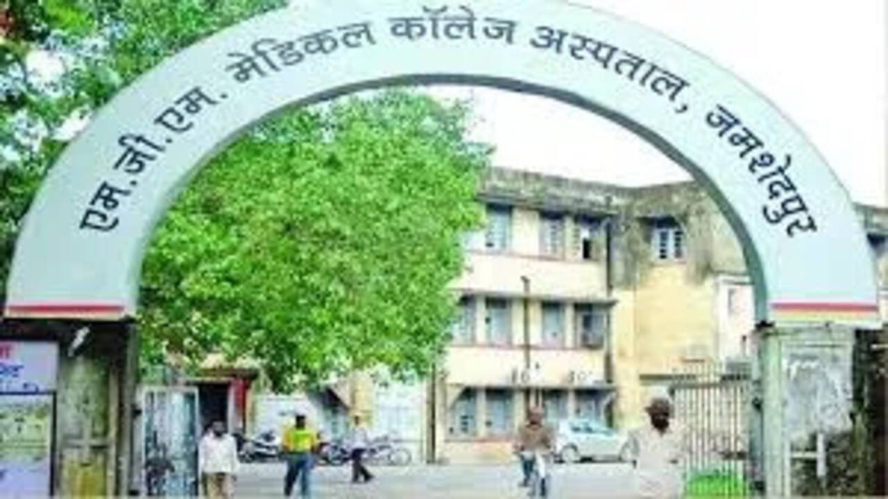 East Singhbhum officials on alert after suspected dengue case