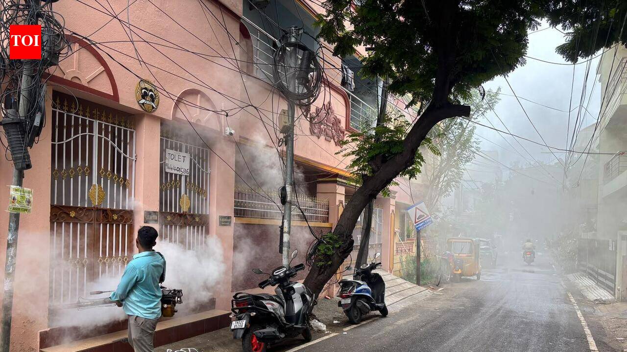 Stung by dengue cases, GCC steps up vector control drive across Chennai