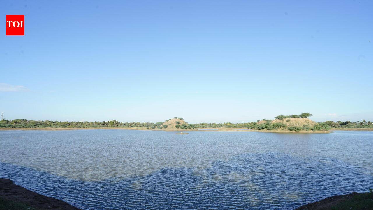 How water bodies are being restored across South India