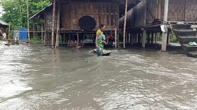 Over 37,000 affected as Assam floods worsen; death toll rises to 4