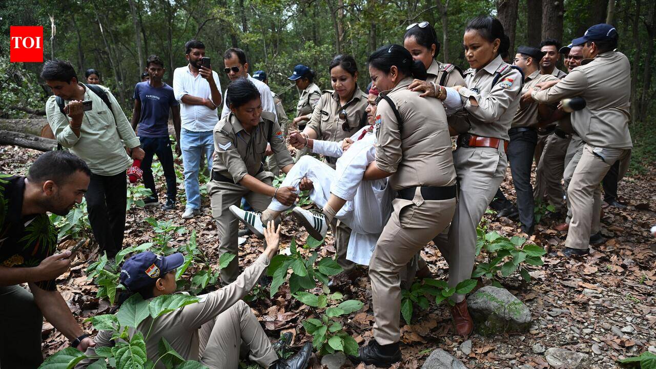 Protests intensify over Shivalik tree felling ahead of SC hearing