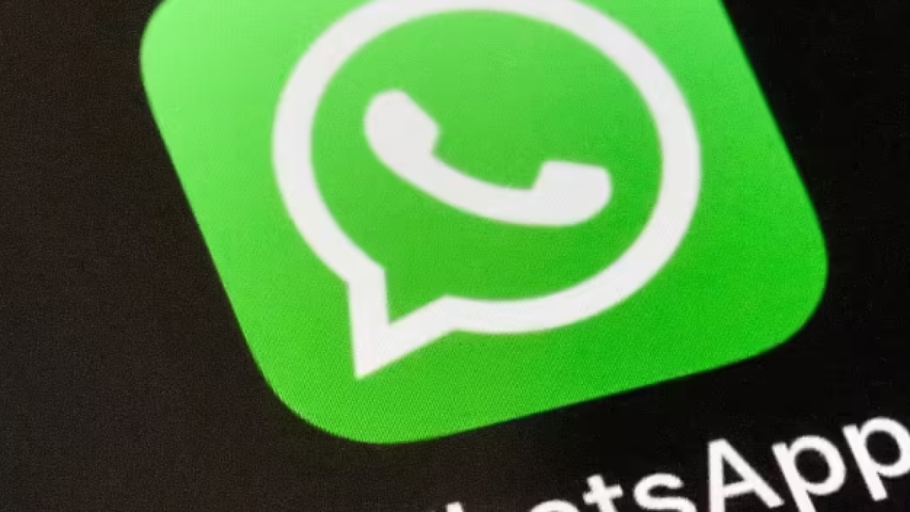 Is a Tamil Nadu govt employee demanding bribe? Message your complaint to this WhatsApp number