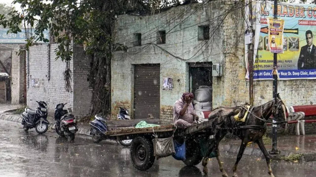 Punjab recorded 30% deficient monsoon rain, subdued rain activity likely over next 6 days