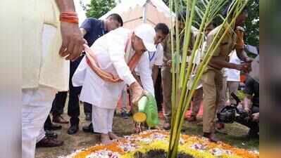 CM sets target of planting 10 crore trees this year