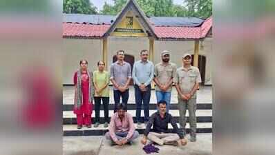 Two booked for harassing tiger in Sakkarbaug Zoo