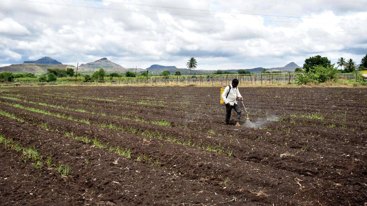 Agriculture officers seek security, crop insurance reforms after Akola ‘lock up’ incident