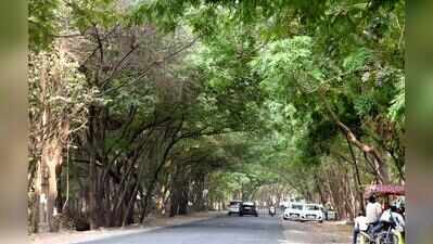 India likely to get greener despite climate change: IITM study