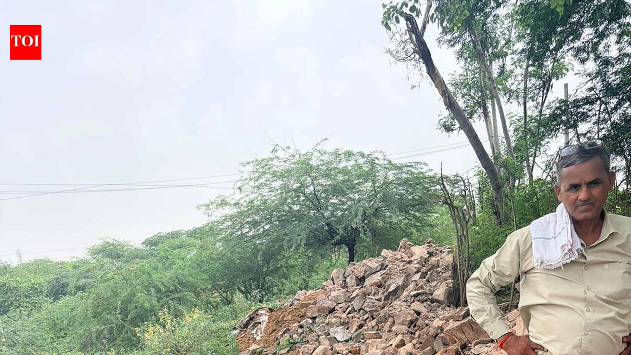 School, mosque, church boundary built on forest land razed