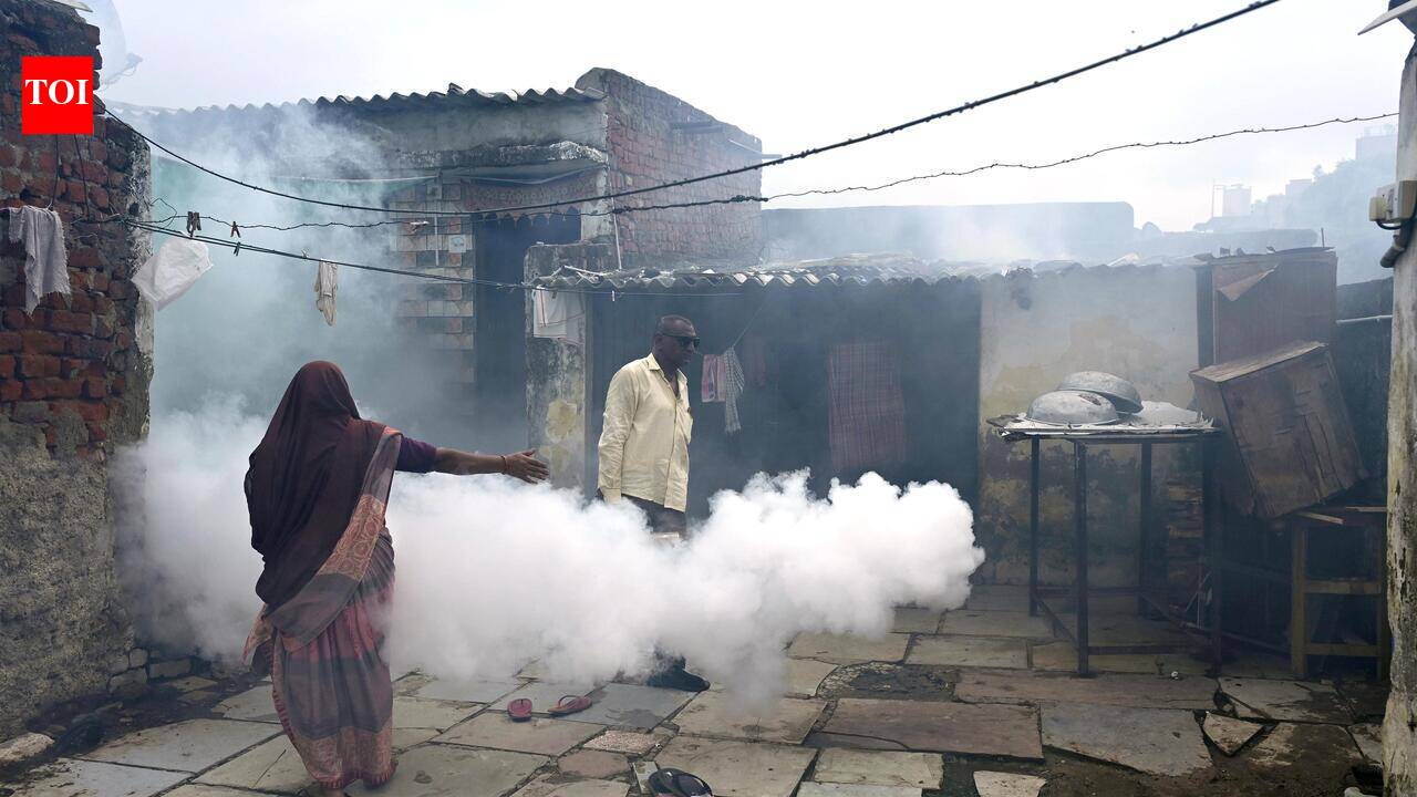IMA issues diectives on Chandipura virus in Gujarat